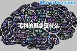 毛利的概念是什么