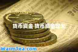 货币资金 货币资金定义