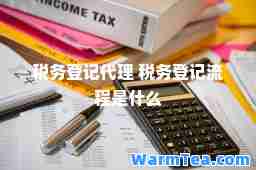 税务登记代理 税务登记流程是什么