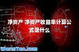 净资产 净资产收益率计算公式是什么