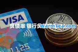 负债率 银行负债率是什么