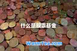 什么是股票基金
