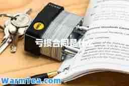 亏损同是什么
