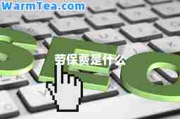 劳保费是什么