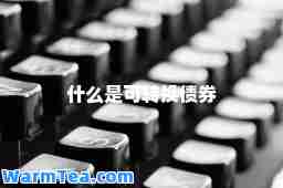 什么是可转换债券