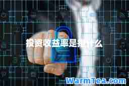 投资收益率是指什么