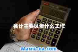 会计主要负责什么工作