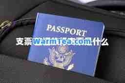 支票 签证旅行支票是什么