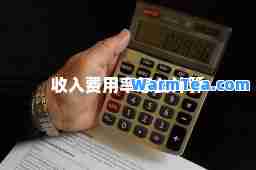 收入费用率怎么计算
