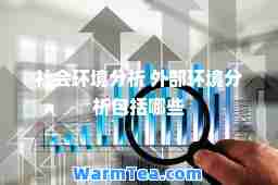 社会环境分析 外部环境分析包括哪些