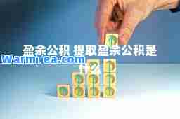 盈余公积 提取盈余公积是什么