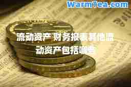 流动资产 财务报表其他流动资产包括哪些