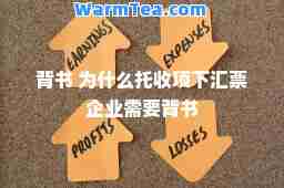 背书 为什么托收项下汇票企业需要背书