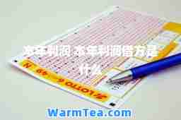本年利润 本年利润借方是什么