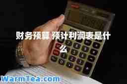 财务预算 预计利润表是什么