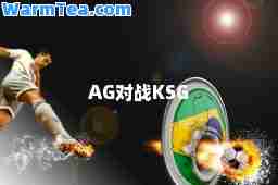 AG对战KSG