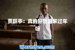 贾跃亭：真的好想回家过年呀