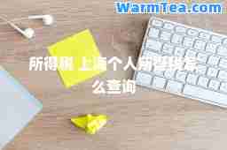 所得税 上海个人所得税怎么查询