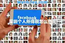 深圳个人所得税怎么查询