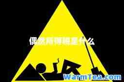 偶然所得税是什么