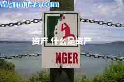 资产 什么是资产