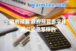 政府预算 政府预算赤字计算公式是怎样的