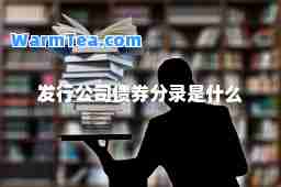 发行公司债券分录是什么