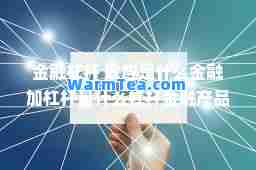 金融杠杆 效应是什么金融加杠杆是什么杠杆金融产品是