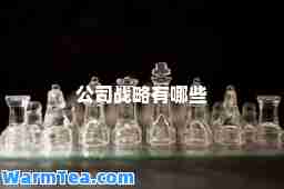 公司战略有哪些