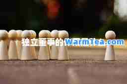 独立董事的作用是什么