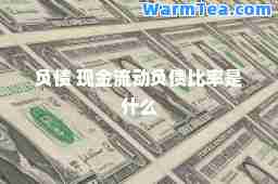 负债 现金流动负债比率是什么