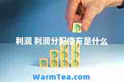 利润 利润分配借方是什么