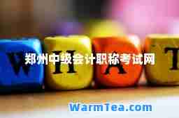 郑州中级会计职称考试网