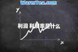 利润 利润率是什么