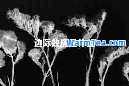 边际效应是什么