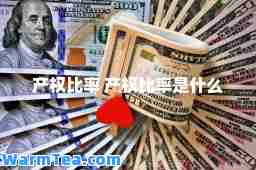 产权比率 产权比率是什么