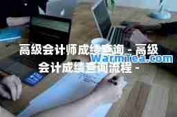 高级会计师成绩查询 - 高级会计成绩查询流程 -