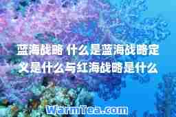 蓝海战略 什么是蓝海战略定义是什么与红海战略是什么