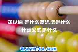 净现值 是什么意思法是什么计算公式是什么