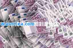 托收统一规则是什么
