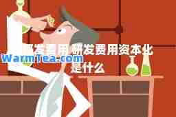 研发费用 研发费用资本化是什么