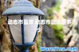动态市盈率 动态市盈率是多少