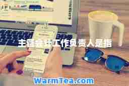 主管会计工作负责人是指