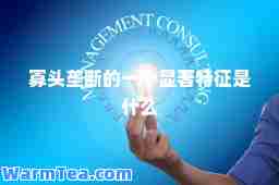 寡头垄断的一个显著特征是什么