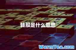 转股是什么意思