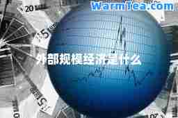 外部规模经济是什么