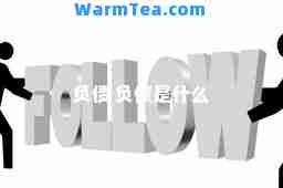 负债 负债是什么