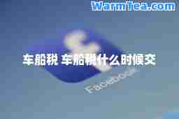 车船税 车船税什么时候交