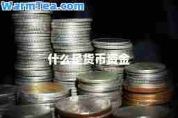 什么是货币资金