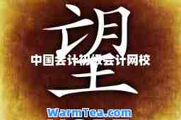 中国会计初级会计网校